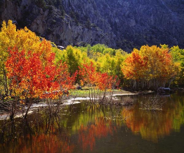 California, Sierra Nevada Autumn in the Sierras